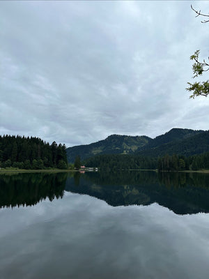Behind Alex’s First Concert in Italy
