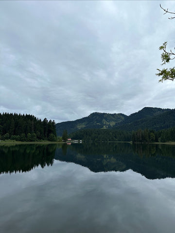 Behind Alex’s First Concert in Italy