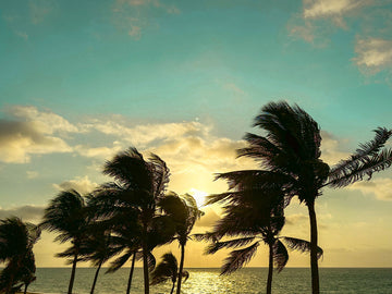 🇲🇽 Two weeks that will never be forgotten…!