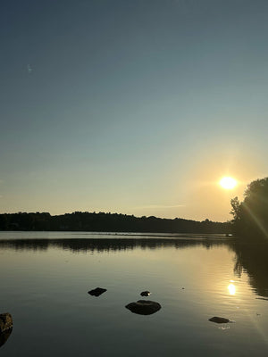 An Alex Henry Foster & The Long Shadows dinner story..!