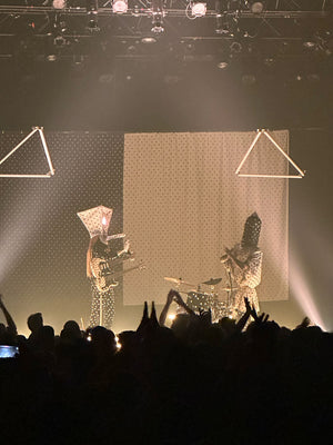 “Girls Invented Punk Rock..!” An ode to some heroes!!!!