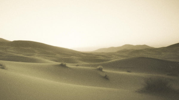 In the Valley of the Sun