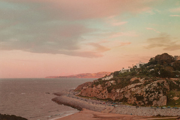 The Fragile Beauty (Of New Morning Hopes)
