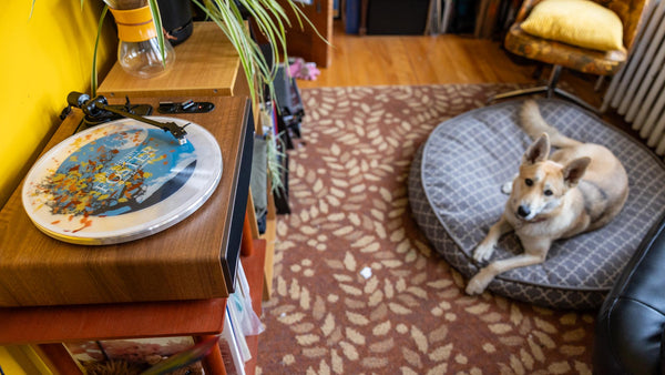 “Winter Is Coming In” [Vinyle]