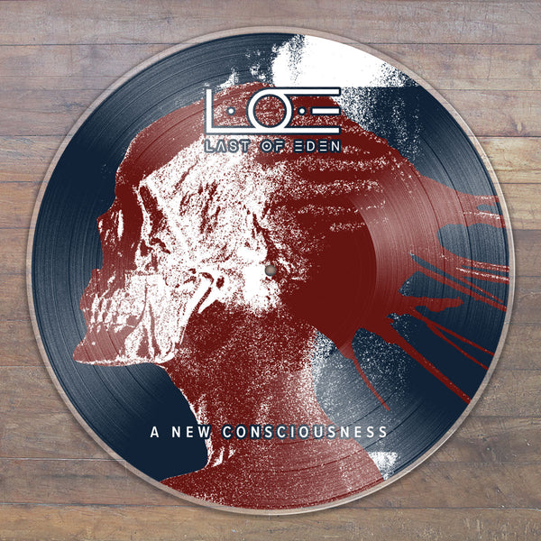 "I Was Not Magnificent" [Vinyle]