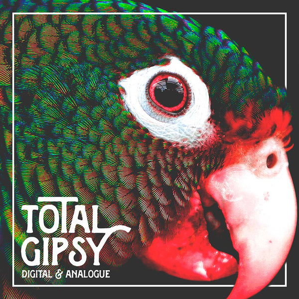 "Digital & Analogue" by Total Gipsy [Digital Download]