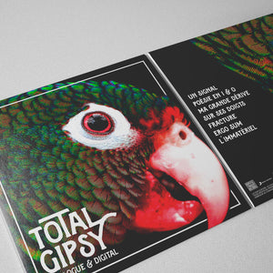"Digital & Analogue" by Total Gipsy [Vinyl]
